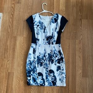 Banana Republic Blue and White Floral Dress